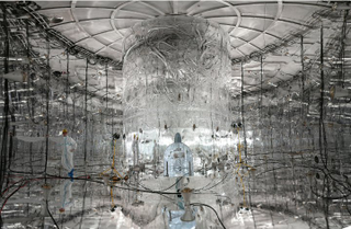 From Nature: “The inner walls of the water tank are covered by a reflecting foil improving the light detection. This permits the identification of cosmic muons.” Image: K. Freund, GERDA collaboration